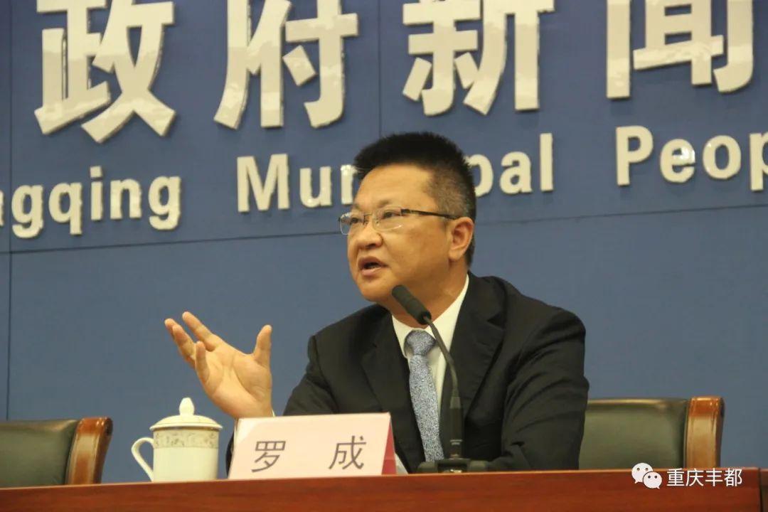 豐都新聞快訊，日常溫情與陪伴的瞬間