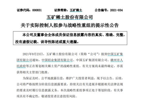 南方稀土股票，小巷中的隱秘寶藏，探索投資魅力的未知之旅