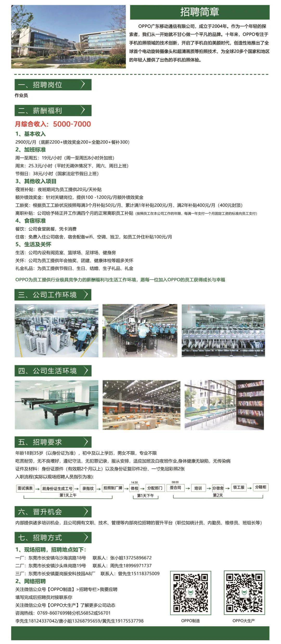 桐廬普工招聘信息揭秘，時代背景下的職場洞察