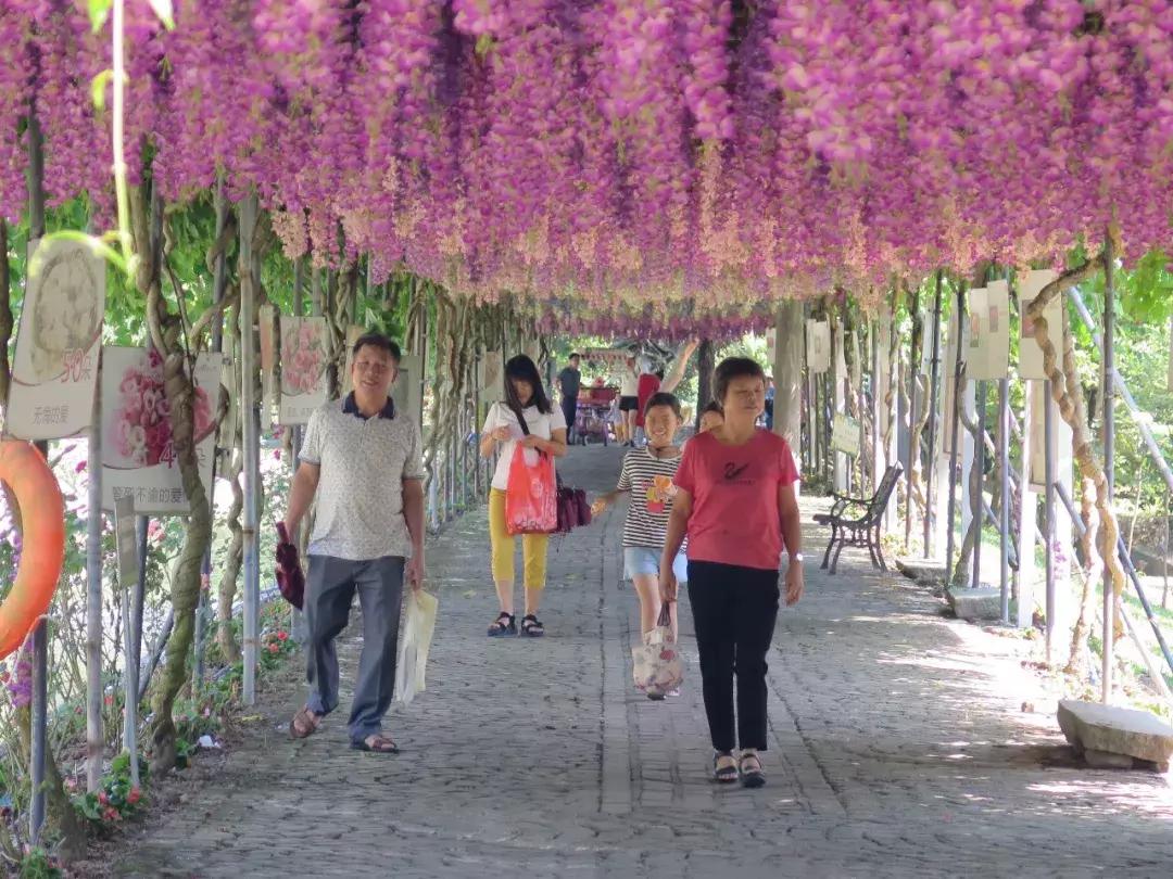 收入寶全新版本，家庭與友情的交織故事