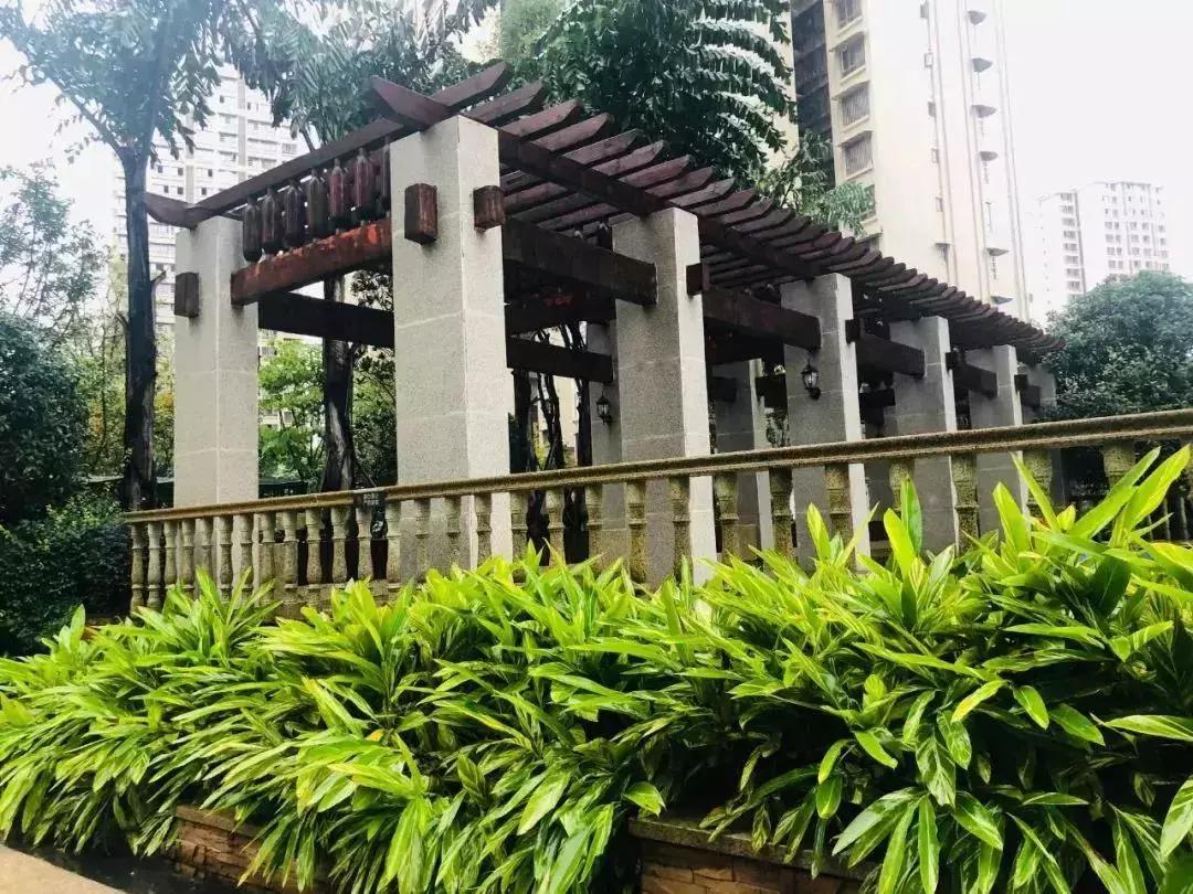 陽光江山金岸最新動(dòng)態(tài)揭秘，全面指南與步驟詳解