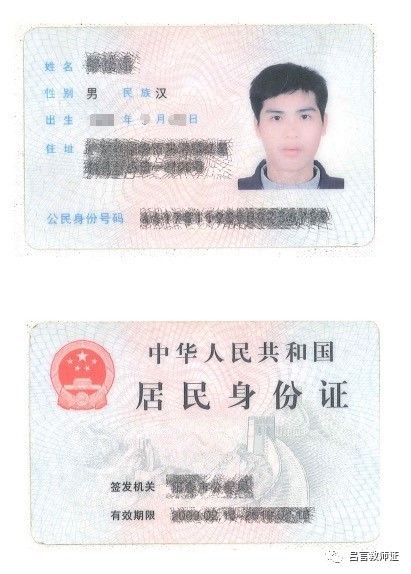 最新證照，友情與陪伴的溫馨故事之旅