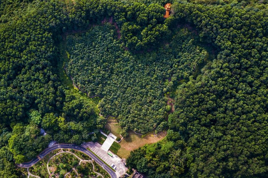 香港演員林，溫馨日常的點(diǎn)滴記錄