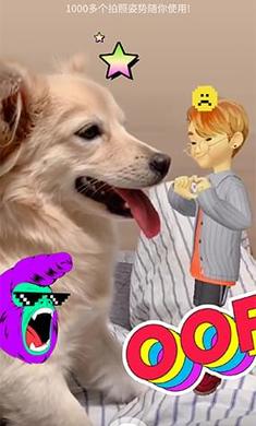 崽崽最新版下載，一段充滿愛與陪伴的溫馨旅程