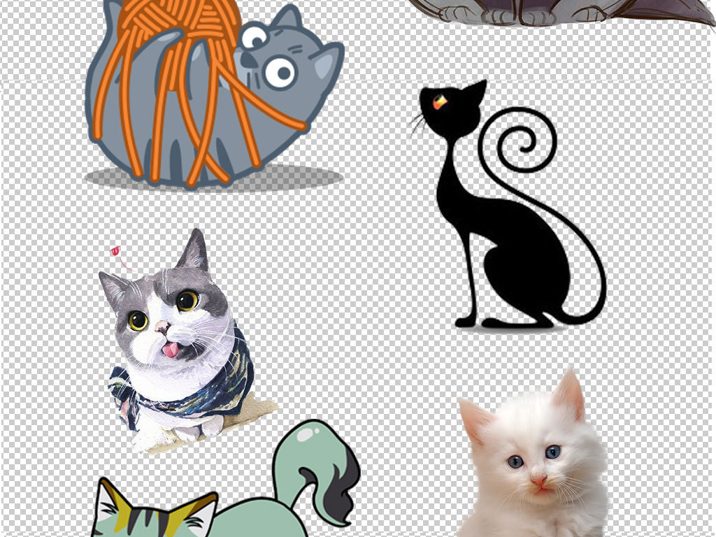 動漫小貓圖片，制作指南與精選圖片欣賞