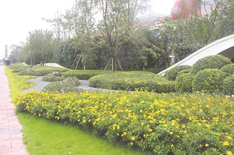 嬢王演員的自然之旅，邂逅美景，尋找內(nèi)心平和之道