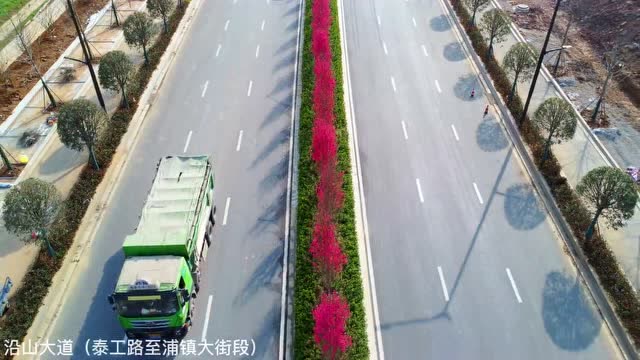 關花大道最新進展，矚目盛景呈現(xiàn)！