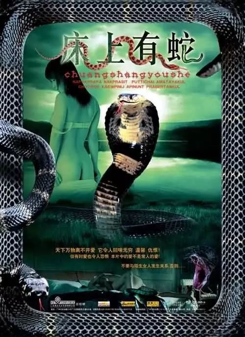 最新蛇片，蛻變的旅程，召喚自信與成就感的冒險(xiǎn)之旅