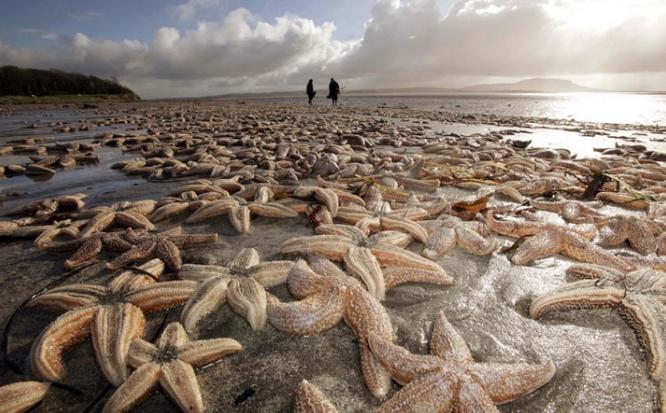 死亡擱淺電影，小巷深處的獨(dú)特觀影之旅