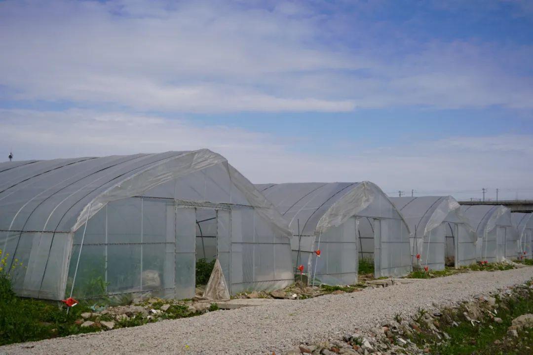 宅基地上市交易開(kāi)啟土地交易新篇章