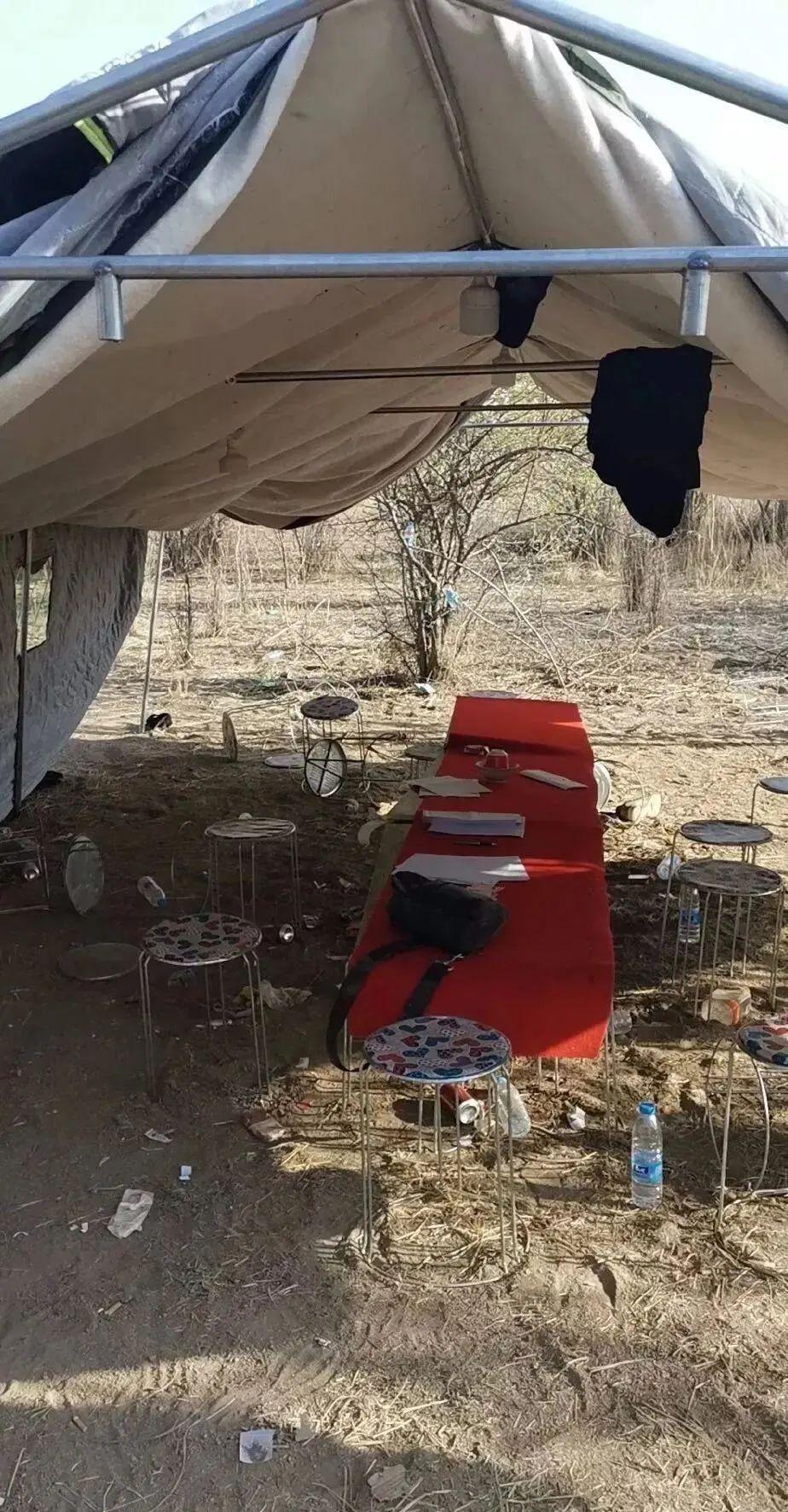 永寧望遠最新職位招聘，時代脈搏下的職場新篇章