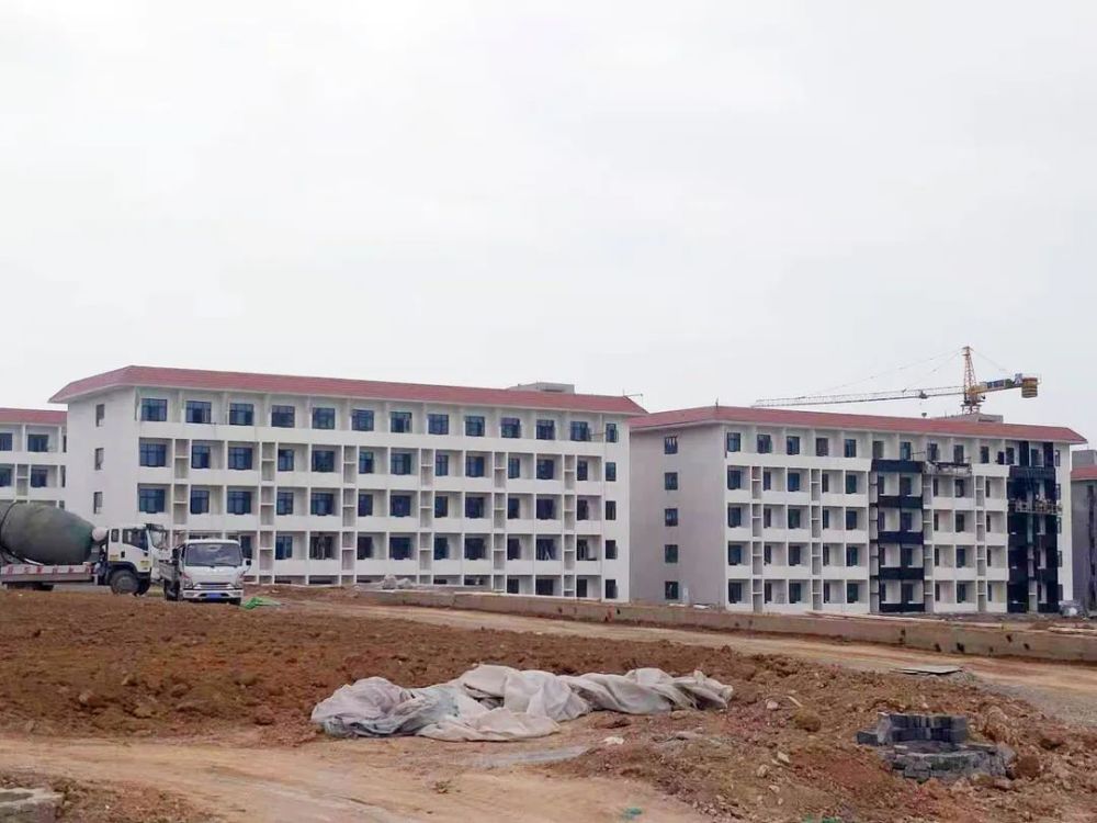 甘谷新聞，大石車禍最新進(jìn)展及觀點論述深度解析