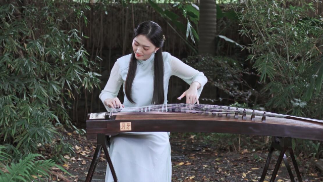 抖音最新琵琶演奏，古典與現(xiàn)代的完美融合之美