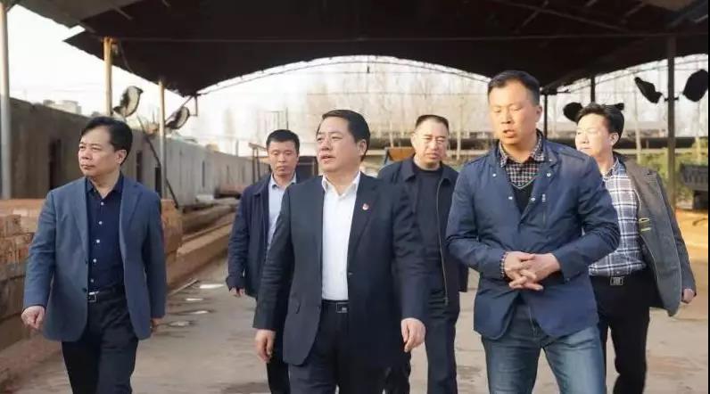 商丘王仲田最新動(dòng)態(tài)，探索自然美景的旅行，尋求內(nèi)心平和之旅