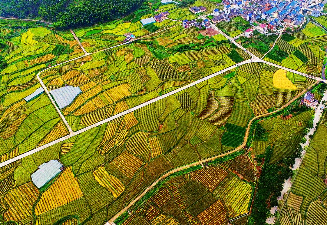 金竹最新規(guī)劃發(fā)布，開啟學習新篇章，培養(yǎng)自信與成就感的源泉