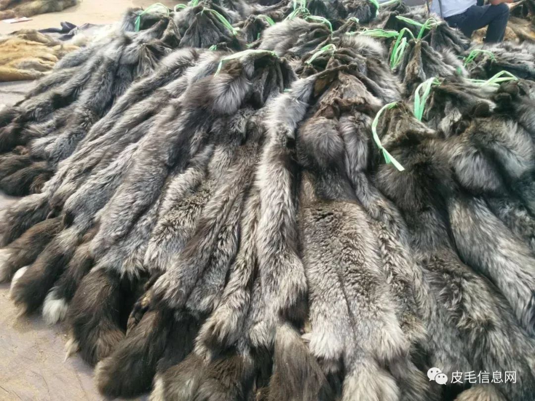 貉皮尚村最新價(jià)格，小巷中的時(shí)尚皮草寶藏探索