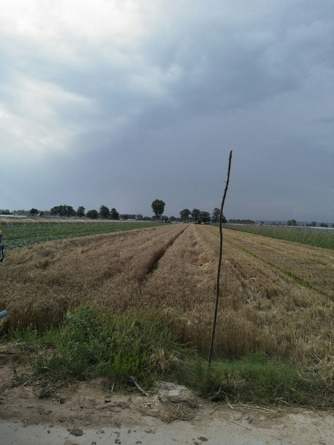 蒲城天氣預報，暖陽下的友情時光