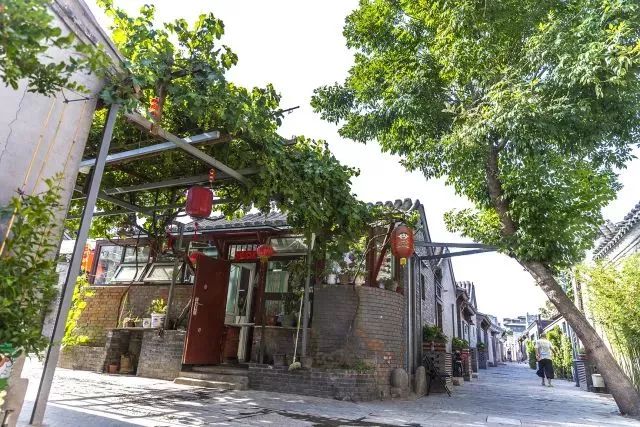 草社區(qū)美食探險(xiǎn)之旅，探尋小巷中的隱藏寶藏與最新地址揭秘