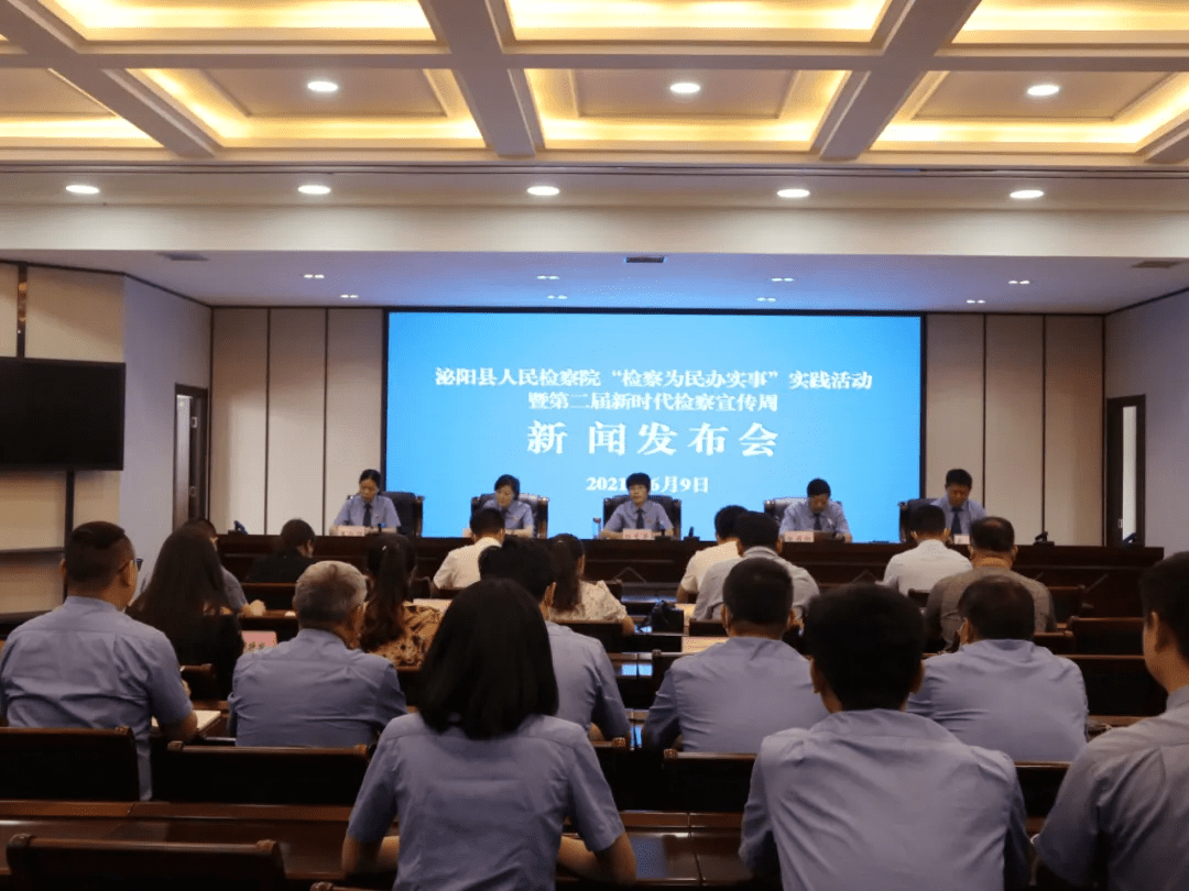 泌陽新聞最新動態(tài)，多元視角下的觀察與思考