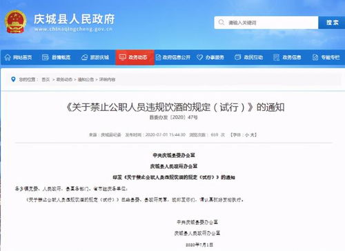 酒駕處罰2024最新標(biāo)準(zhǔn)詳解，步驟指南與更新概覽
