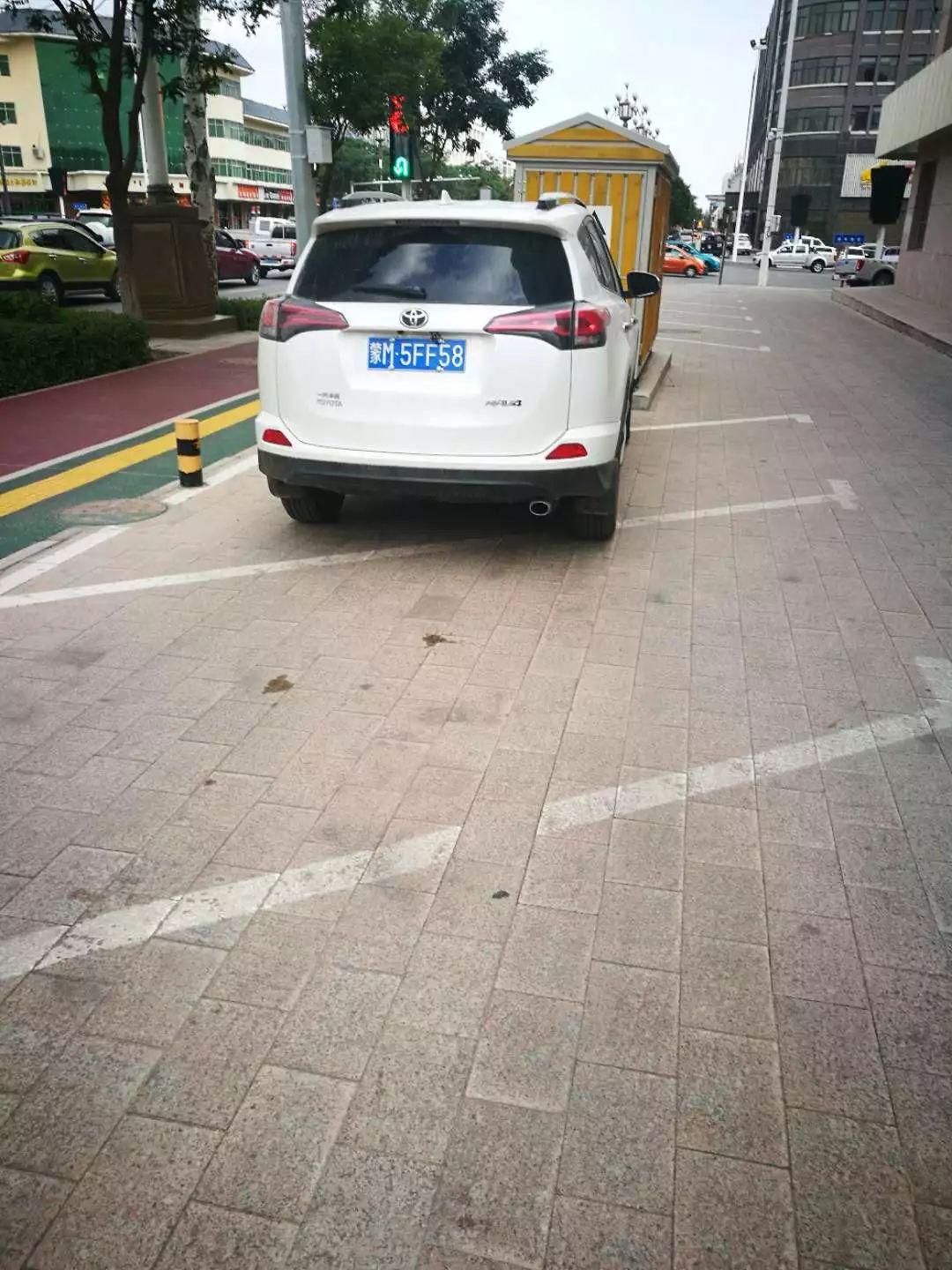 阿左旗最新發(fā)展，時(shí)代之光下的璀璨明珠