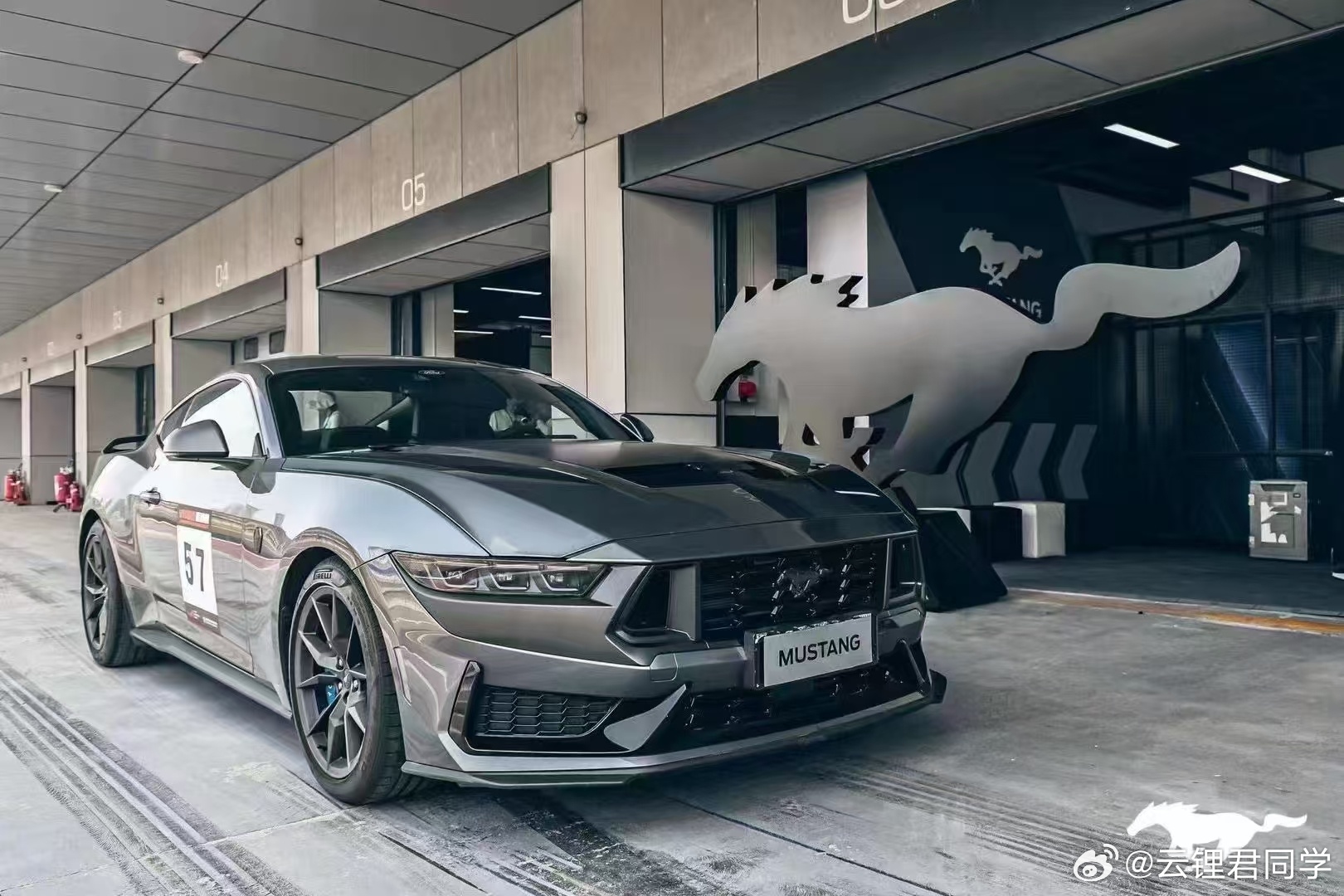 野馬擼最新動(dòng)態(tài)，駕馭變化，自信成就夢(mèng)想之旅