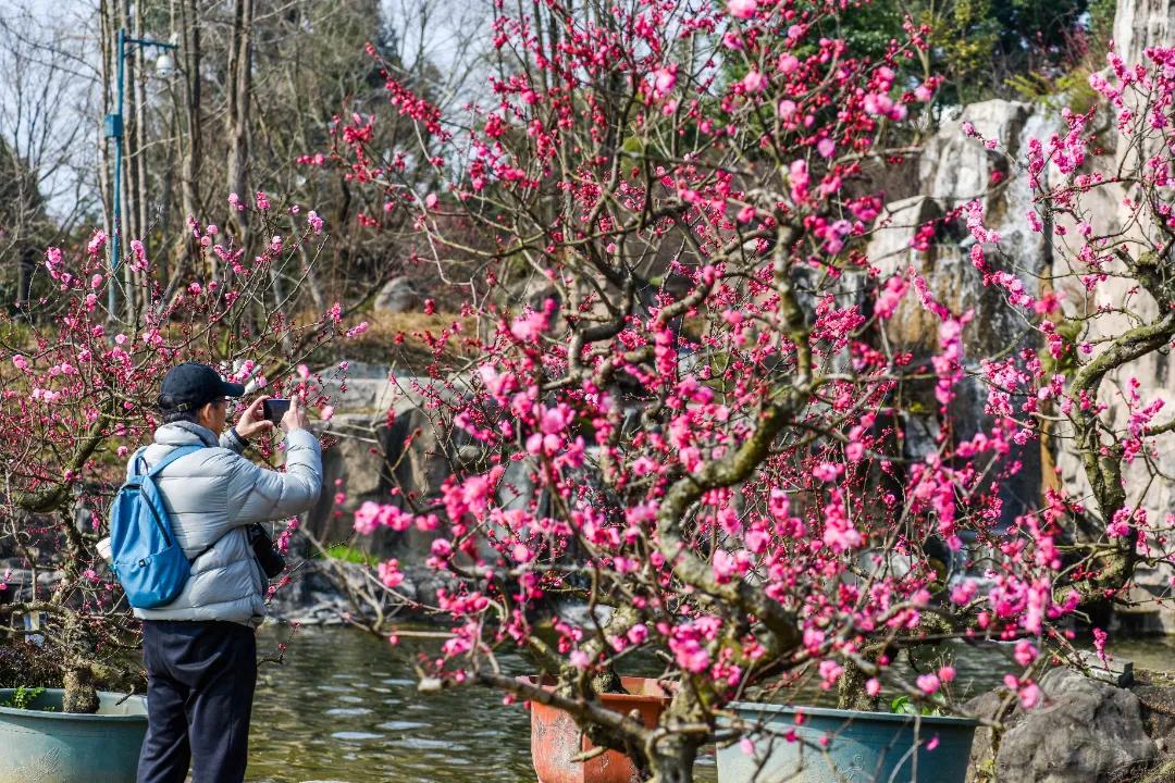 秀麗東方最新動態(tài)，啟程探索自然之美，尋找內(nèi)心寧靜之旅