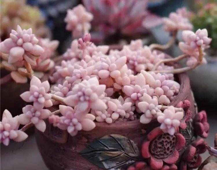 廣場(chǎng)燈具 第125頁(yè)