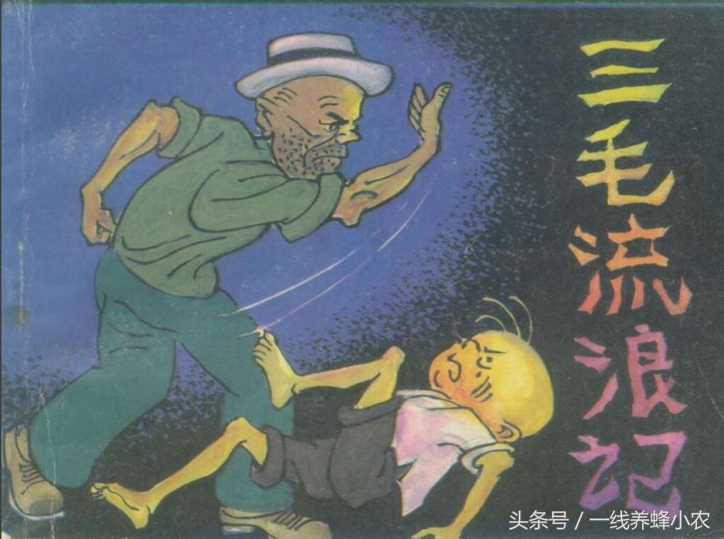 上海三毛最新動(dòng)態(tài)，自然美景探索之旅啟幕