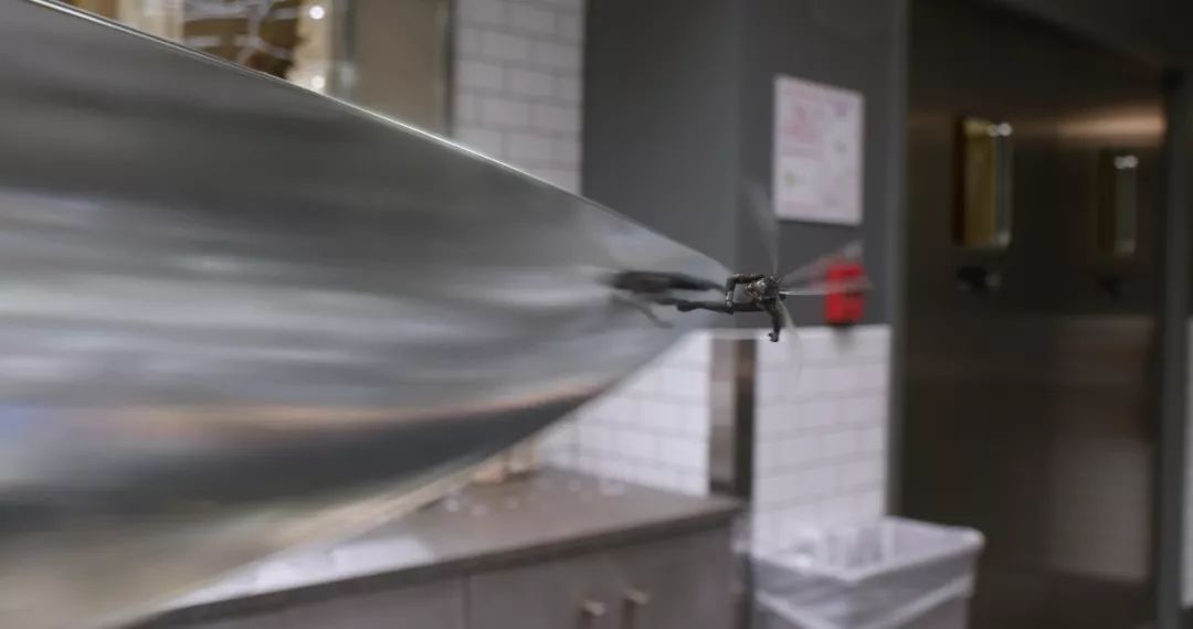 最新電泳技術(shù)，一路向前，學(xué)習(xí)成就自信之源