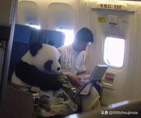 追逐變化之翼，學(xué)習(xí)鑄就自信與成就——虛幻最新探討