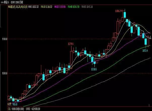 豆油最新行情概覽，市場走勢分析與未來展望