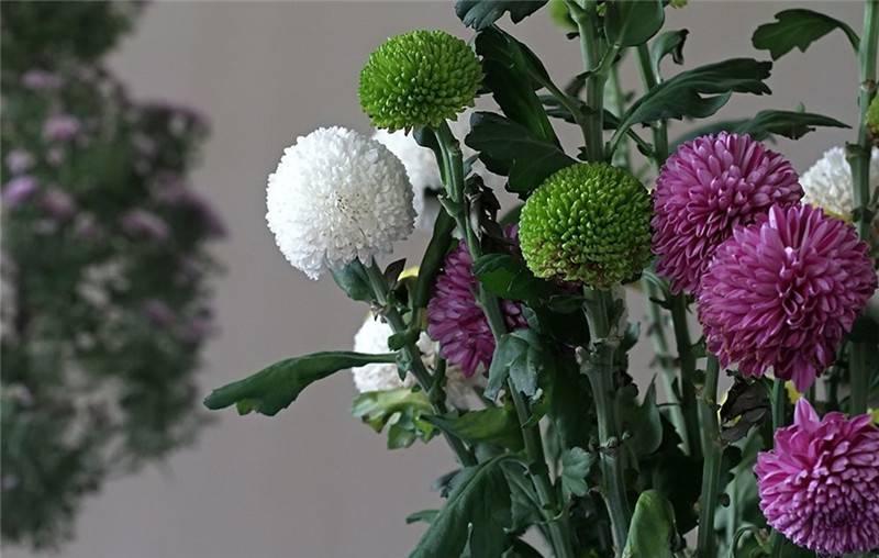 最新娛樂頭條，躍上成功舞臺的魔力之旅，自信與成就感的碰撞