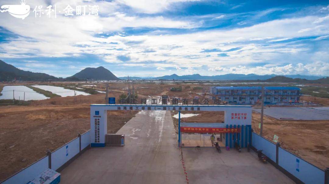 汕尾最新大項目揭秘，小巷深處的獨特風味