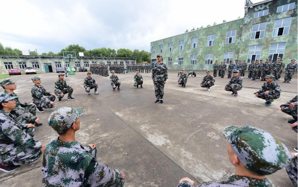 遼寧人才網(wǎng)最新招聘，時(shí)代脈搏與人才匯聚的交匯點(diǎn)
