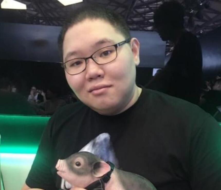 PDD最新直播視頻，直播界的璀璨明星閃耀時(shí)刻