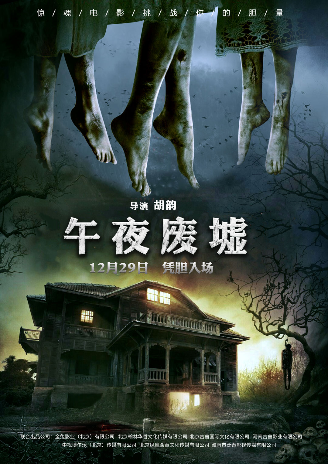 午夜熱門(mén)電影探索，魅力時(shí)刻的探險(xiǎn)之旅