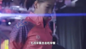 笑斯人最新視頻，日常趣事與友情的紐帶展現(xiàn)！