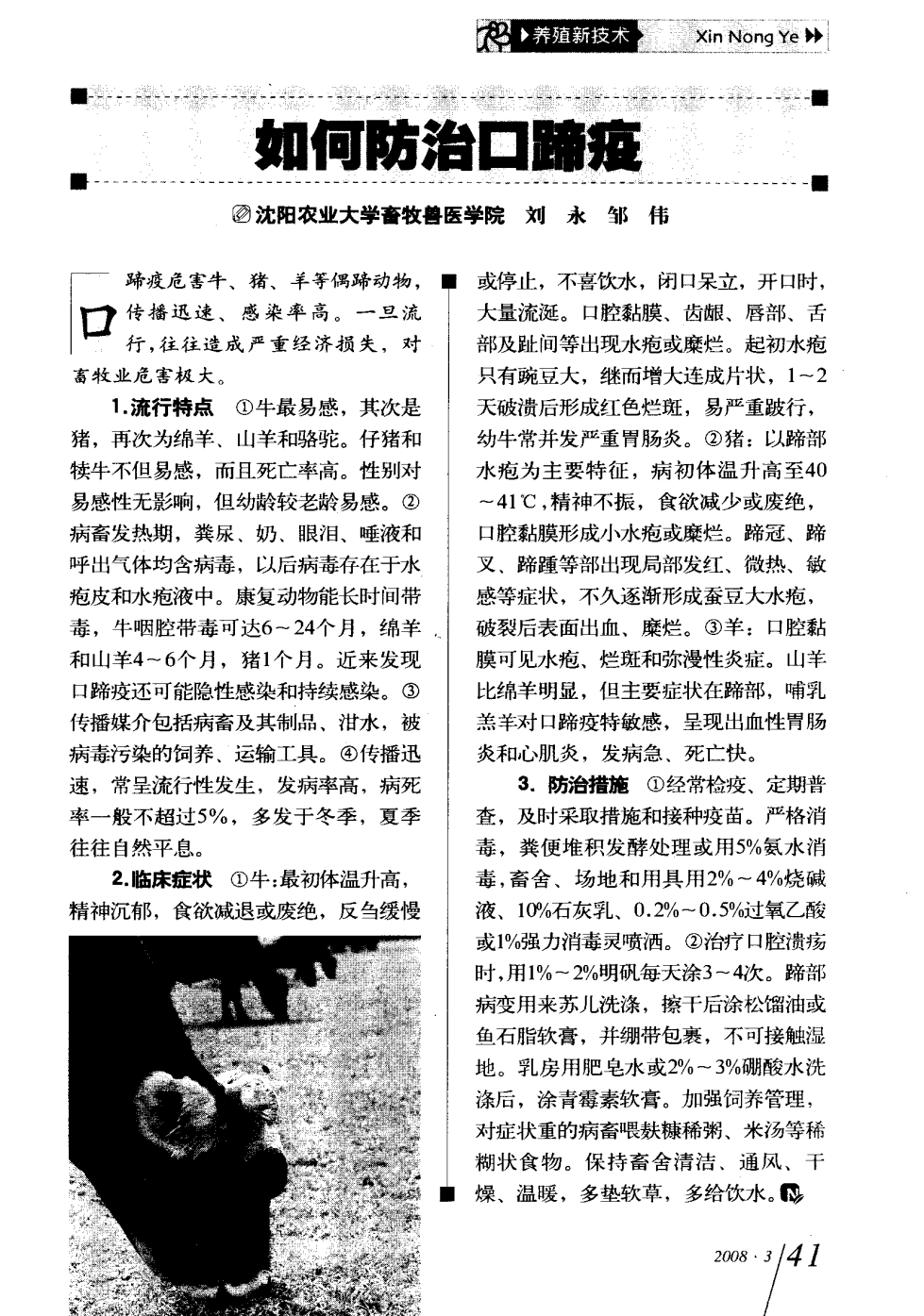 口蹄疫最新科研，自然探險與內(nèi)心平和的追尋之旅