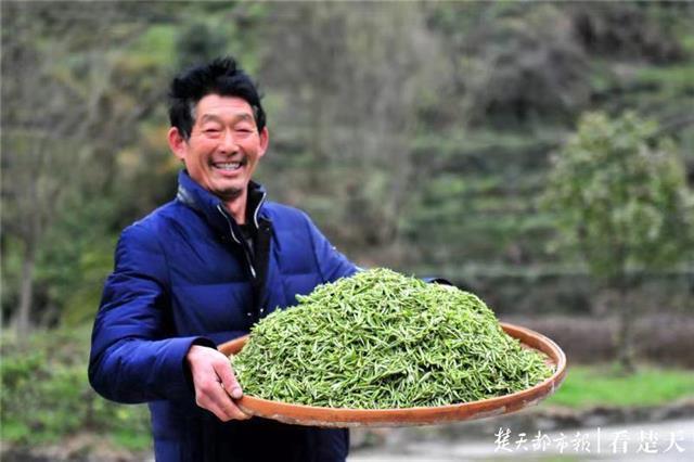 最新夷陵新聞，探索自然美景的旅程，尋覓內(nèi)心平和之地