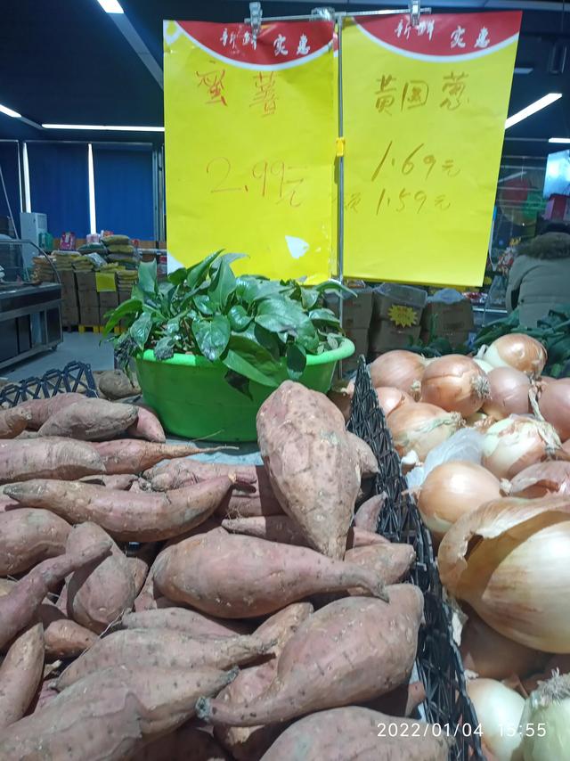 最新地瓜價格解析，查詢指南與任務(wù)攻略