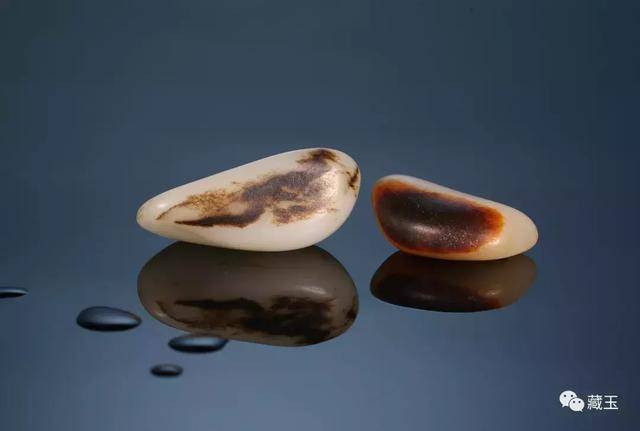 黑皮玉最新動(dòng)態(tài)，神秘魅力升級(jí)，引人矚目?