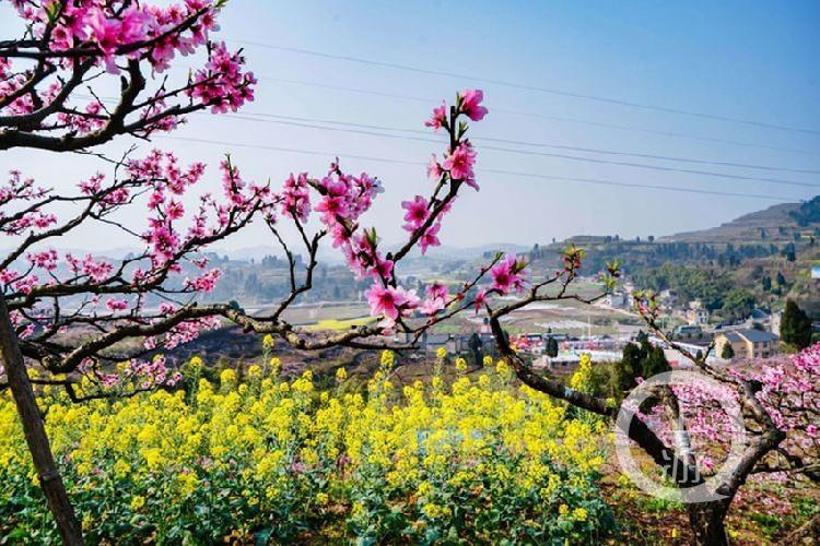 合川最新科技新聞，高科技產(chǎn)品引領(lǐng)未來生活潮流