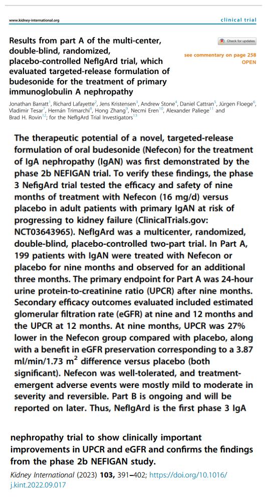 IGA腎病最新突破，醫(yī)學奇跡在小店中綻放的獨特魅力