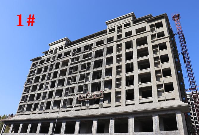 平輿最新樓盤市場現(xiàn)狀與前景展望，深度解析市場趨勢與發(fā)展前景展望