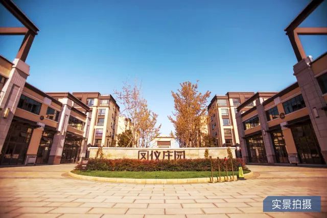 鳳儀莊園最新動(dòng)態(tài)，家的溫馨與友情的綻放時(shí)刻