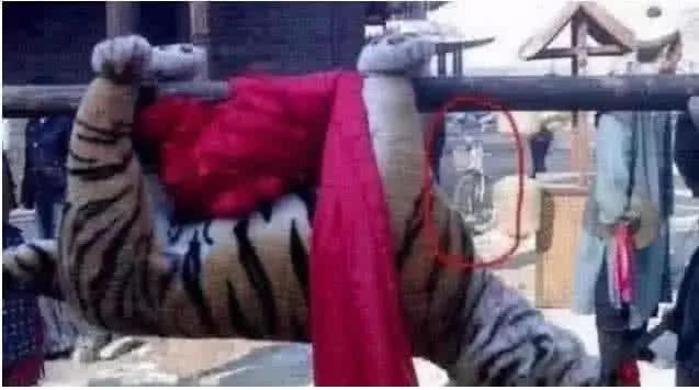 最新打虎消息，探尋內(nèi)心平靜的打虎之旅