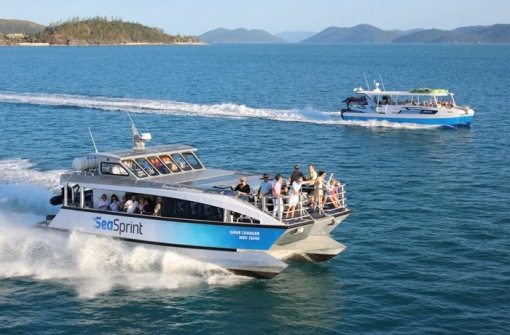 時代背景下的璀璨星辰，最新號號天堂綜述