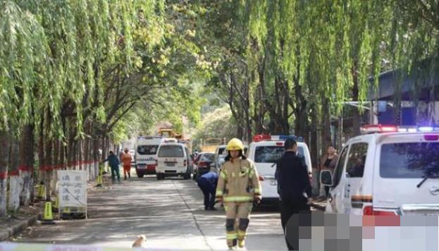 安陽最新事件，溫馨日常與不期而遇的友情之旅