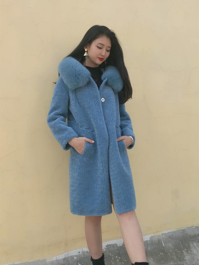 三七花最新價(jià)格揭秘，溫馨小故事中的尋找之旅